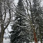 Apartmanovy Dom U Ivky Studia * Bešeňová