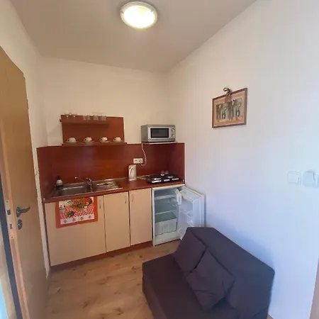 Apartmanovy Dom U Ivky Studia Apartment *