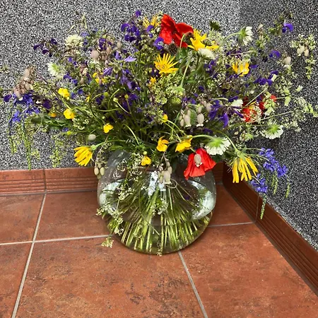 Apartmanovy Dom U Ivky Studia *