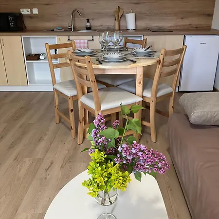 Apartmanovy Dom U Ivky Studia Apartmán *